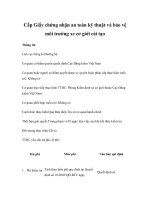 Tài liệu Cấp Giấy chứng nhận an toàn kỹ thuật và bảo vệ môi trường xe cơ giới cải tạo ppt