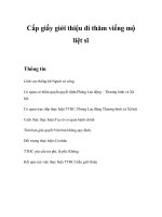 Tài liệu Cấp giấy giới thiệu đi thăm viếng mộ liệt sĩ docx