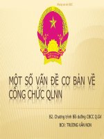 Tài liệu MỘT SỐ VẤN ĐỀ CƠ BẢN VỀ CÔNG CHỨC QLNN pdf
