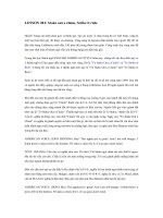 Tài liệu IDIOMS LESSON 081 pdf