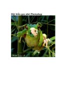 Tài liệu Đột biến gen nhờ Photoshop ppt