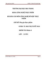 Luận văn phụ gia thực phẩm 