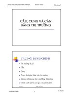 Cung cầu và cân bằng thị trường 
