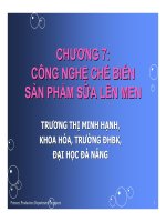 Tài liệu Công nghệ chế biến sản phẩm sữa lên men_chương 7 doc