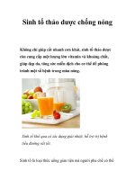 Tài liệu Sinh tố thảo dược chống nóng ppt