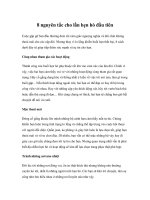 Tài liệu 8 nguyên tắc cho lần hẹn hò đầu tiên docx