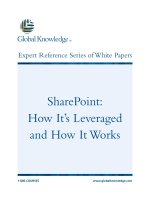 Tài liệu SharePoint: How It’s Leveraged and How It Works ppt
