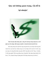 Tài liệu Quy mô không quan trọng, vấn đề là lợi nhuận! docx