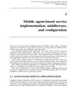 Tài liệu Điện thoại di động giao thức viễn thông cho các mạng dữ liệu P2 pdf