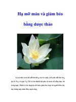 Tài liệu Hạ mỡ máu và giảm béo bằng dược thảo pptx