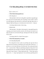Tài liệu Các biện pháp phòng và trị bệnh tôm hùm doc