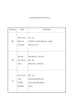 Tài liệu Gíao án tuần 19 doc