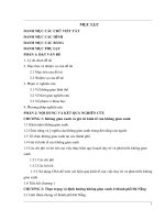 Đánh giá hiệu quả kinh tế của việc duy trì và phát triển không gian xanh thành phố đà nẵng