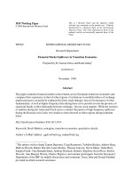 Tài liệu Financial Market Spillovers in Transition Economies docx