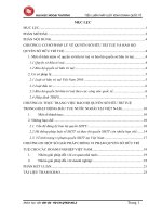 Vấn đề sở hữu trí tuệ trong hoạt động đầu tư nước ngoài  những hạn chế và giải pháp cho doanh nghiệp việt nam 