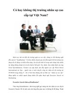 Tài liệu Có hay không thị trường nhân sự cao cấp tại Việt Nam? docx