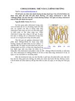 Tài liệu CHOLESTEROL THẾ NÀO LÀ BÌNH THƯỜNG pdf