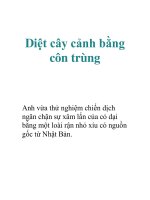 Tài liệu Diệt cây cảnh bằng côn trùng doc