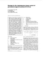 Strategy for the instantaneous torque control of permanent magnet brushless DC drives2 
