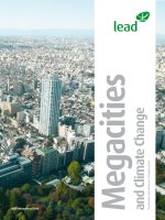 Tài liệu Megacities and Climate Change ppt