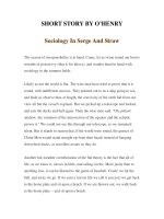 Tài liệu LUYỆN ĐỌC TIẾNG ANH QUA TÁC PHẨM VĂN HỌC-SHORT STORY BY O’HENRY -Sociology In Serge And Straw doc