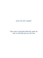 Tài liệu Báo cáo tốt nghiệp: Thực trạng và giải pháp nhằm đẩy mạnh sản xuất và xuất khẩu quế của Việt Nam pptx