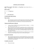 Tài liệu HỢP ĐỒNG LIXĂNG NHÃN HIỆU pdf