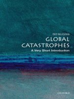 Global catastrophes: A very short introduction
