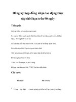 Tài liệu Đăng ký hợp đồng nhận lao động thực tập thời hạn trên 90 ngày docx