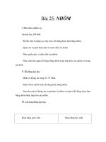 Tài liệu Gíao án 6 - NHÔM pdf