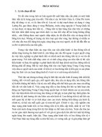 Tiểu luận nghiep vu NHTW 