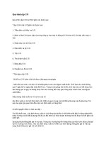 Tài liệu Quy trình cấp C/O pdf