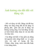 Tài liệu Ảnh hưởng của đất đối với động vật doc