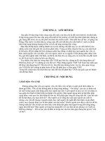 Tài liệu Khái niệm vốn xã hội pdf