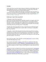 Tài liệu Quốc tế hóa trong kinh tế pdf