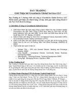 Tài liệu DAY TRADING Giới Thiệu bởi Greenbucks Global Services LLC pptx