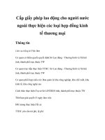 Tài liệu Cấp giấy phép lao động cho người nước ngoài thực hiện các loại hợp đồng kinh tế thương mại pdf