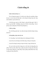 Tài liệu Cách trồng ớt docx