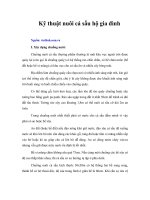 Tài liệu Kỹ thuật nuôi cá sấu hộ gia đình pdf