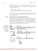 Tài liệu Oracle SQL Jumpstart with Examples- P12 pptx