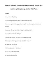 Tài liệu Đăng ký giá cước vận chuyển hành khách nội địa, giá dịch vụ tại cảng hàng không, sân bay Việt Nam docx