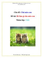 Tài liệu Chủ đề: Chú mèo con - Đề tài: Bé làm gì cho mèo con - Nhóm lớp: Chồi docx