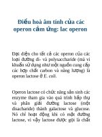 Tài liệu Điều hoà âm tính của các operon cảm ứng: lac operon doc