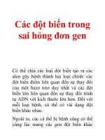 Tài liệu Các đột biến trong sai hỏng đơn gen doc