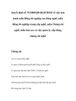 Tài liệu Quyết định số 75/2008/QĐ-BLĐTBXH về việc ban hành mẫu Bằng tốt nghiệp cao đẳng nghề, mẫu Bằng tốt nghiệp trung cấp nghề, mẫu Chứng chỉ nghề, mẫu bản sao và việc quản lý, cấp bằng, chứng chỉ nghề ppt