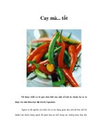 Tài liệu Cay mà... tốt pdf