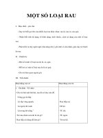 Tài liệu Giáo án 5 tuổi - MỘT SỐ LOẠI RAU ppt