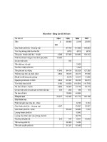 Tài liệu Microflow - Bảng cân đối kế toán ppt