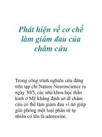 Tài liệu Phát hiện về cơ chế làm giảm đau của châm cứu doc