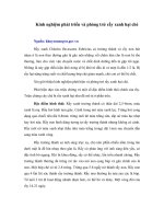 Tài liệu Kinh nghiệm phát triển và phòng trừ rầy xanh hại chè pdf